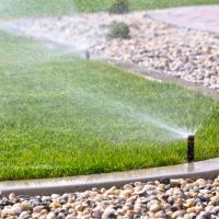 Sprinkler Head on Edge of Lawn