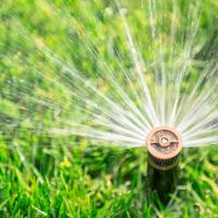 close up of a sprinkler on a green lawn