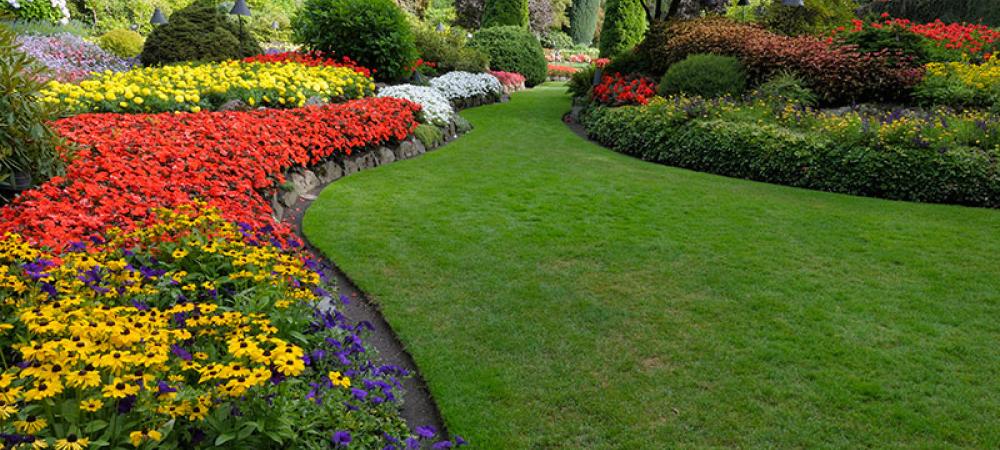 green grass with a flower bed in Salina, KS