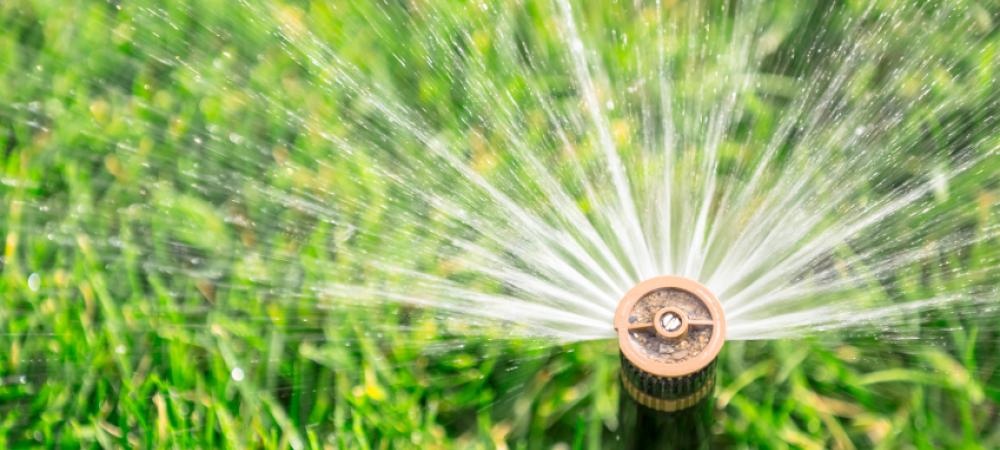 close up of a sprinkler on a green lawn